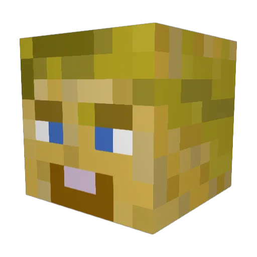 Fueglla Minecraft avatar head, 3D render