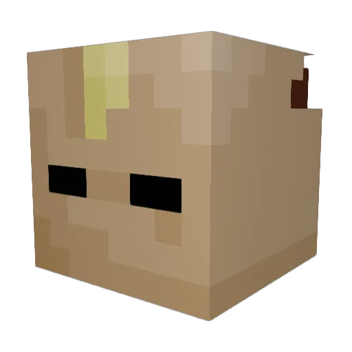 FuegoDaBone Minecraft avatar head, 3D render