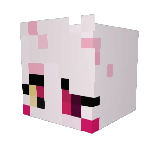 Fufle Minecraft avatar head, 3D render