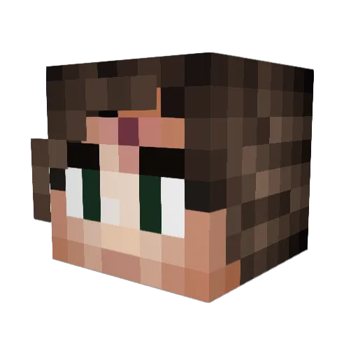 FugeDet Minecraft avatar head, 3D render