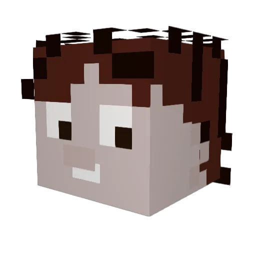 Fugitive51 Minecraft avatar head, 3D render