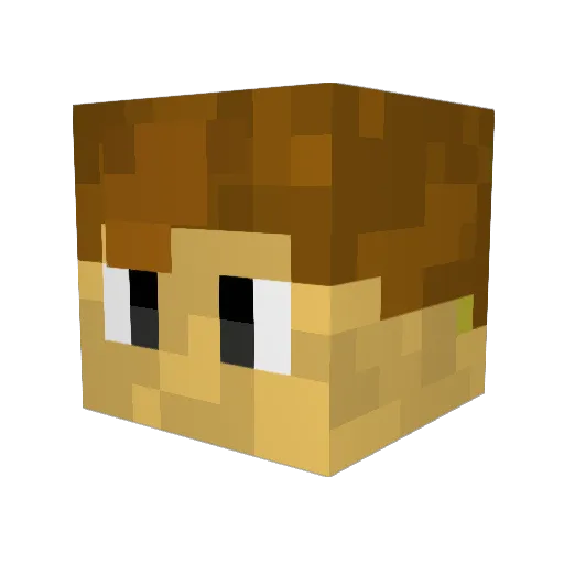 Fugl1234 Minecraft avatar head, 3D render