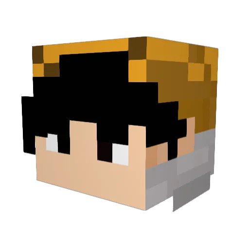 Fugo21 Minecraft avatar head, 3D render