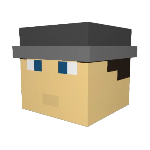Fuhdruckerz Minecraft avatar head, 3D render