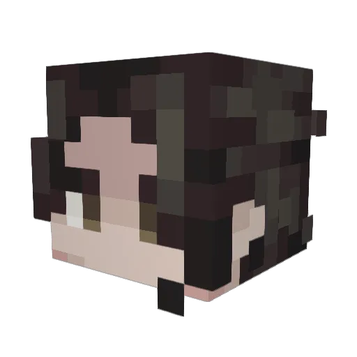 Fuino Minecraft avatar head, 3D render