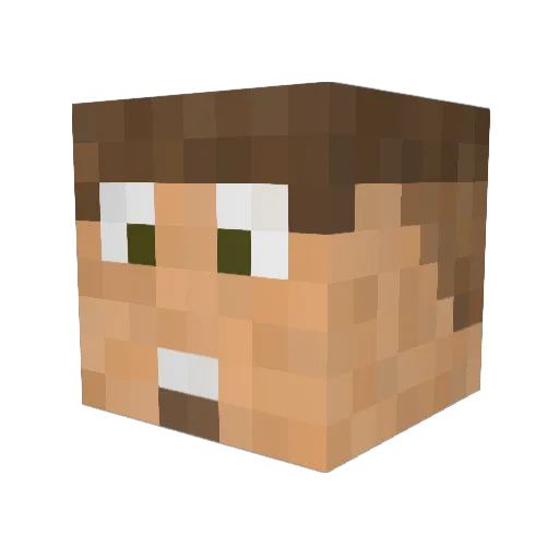 Fuiub Minecraft avatar head, 3D render