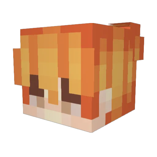Fuji_Fox_ Minecraft avatar head, 3D render