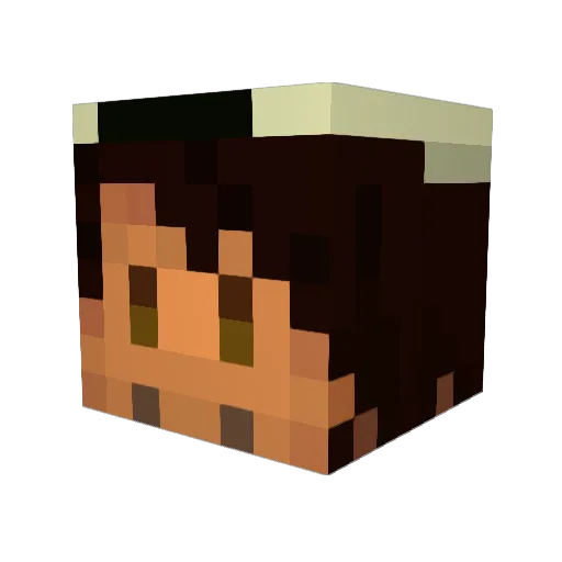 Fuji_Rt Minecraft avatar head, 3D render