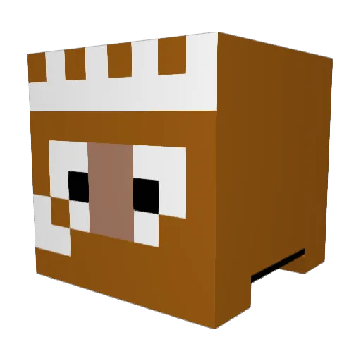 Fujimon_893 Minecraft avatar head, 3D render