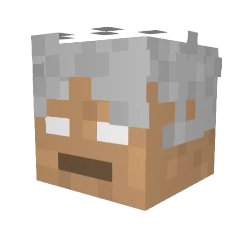 Fujinz Minecraft avatar head, 3D render