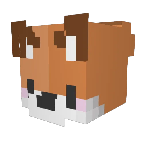 Fujissj3 Minecraft avatar head, 3D render