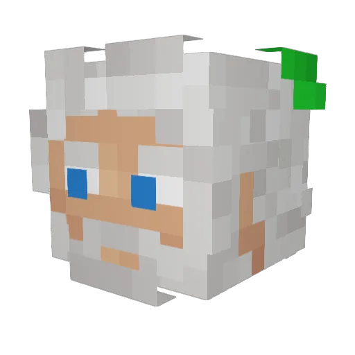 Fulgentiuso Minecraft avatar head, 3D render