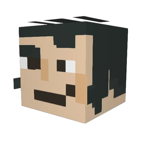FullGrown8329 Minecraft avatar head, 3D render
