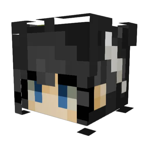 FullMetal_Shorty Minecraft avatar head, 3D render