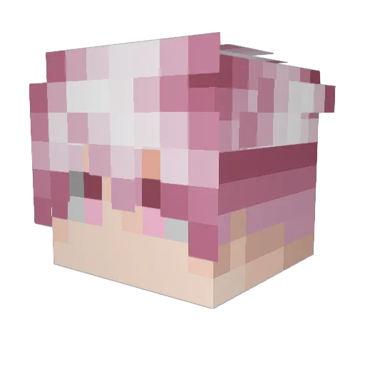 FullOfLoves Minecraft avatar head, 3D render