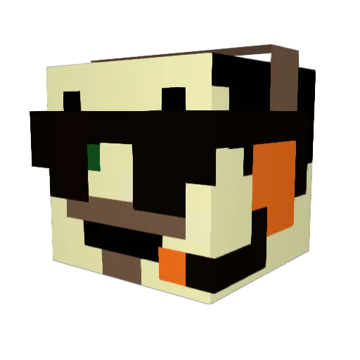 FullSalvoTX Minecraft avatar head, 3D render
