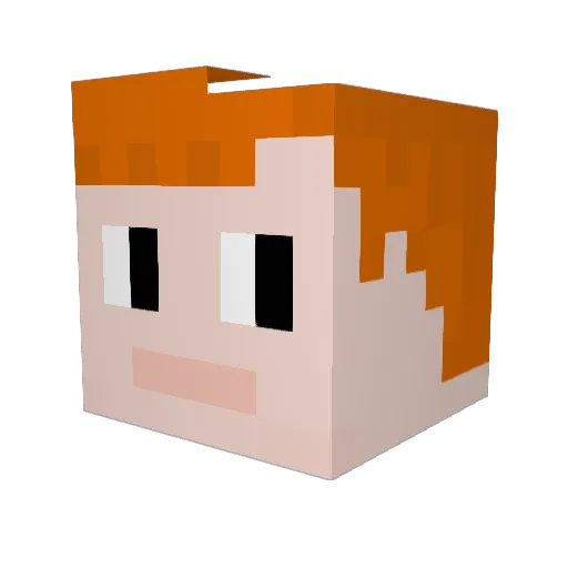 FullStops8958 Minecraft avatar head, 3D render