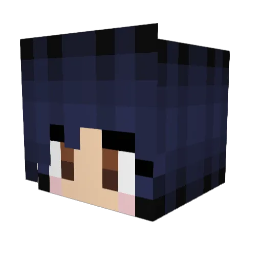 Full___ Minecraft avatar head, 3D render