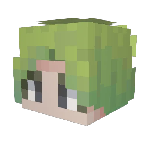 Fullstomach Minecraft avatar head, 3D render