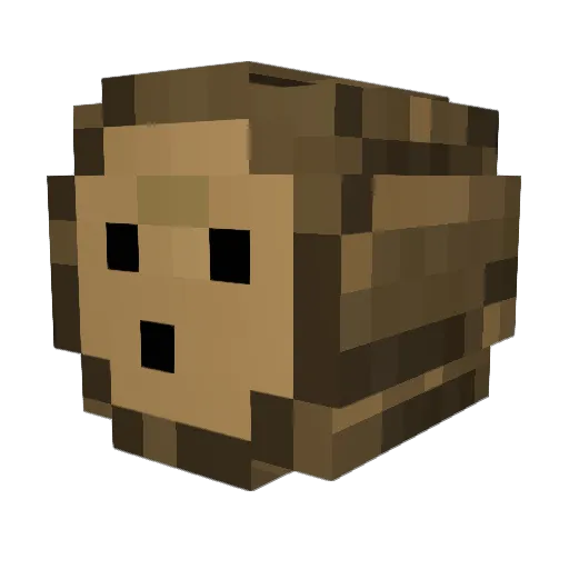 Fulmine_101 Minecraft avatar head, 3D render