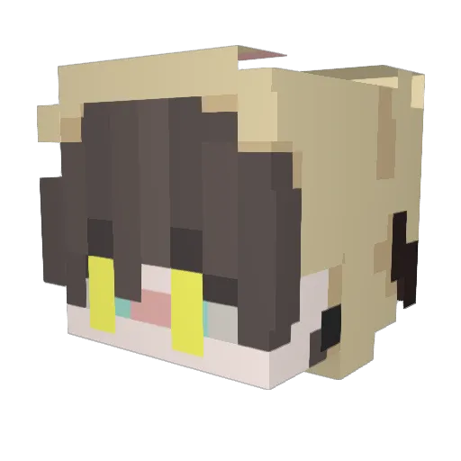 Fulopopi Minecraft avatar head, 3D render