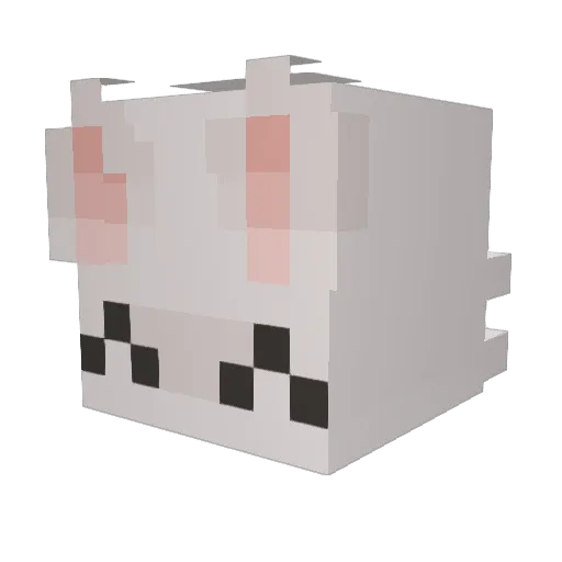 FulsomeGull9360 Minecraft avatar head, 3D render