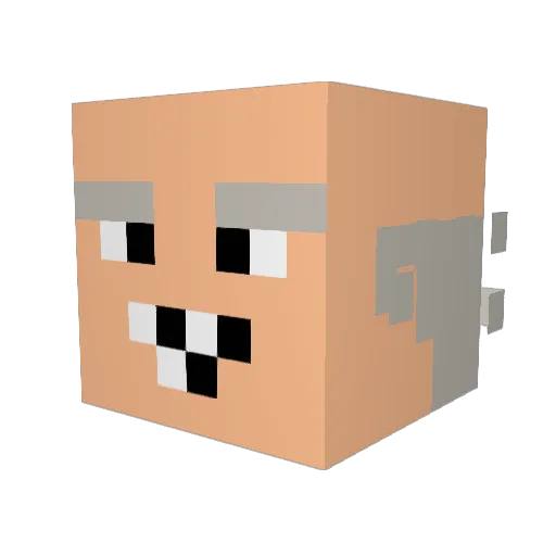 Fults_2 Minecraft avatar head, 3D render