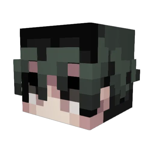 Fulyh Minecraft avatar head, 3D render
