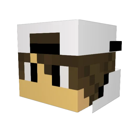 Fuma_no_KTR Minecraft avatar head, 3D render