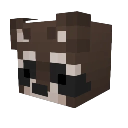 FumingNebula927 Minecraft avatar head, 3D render