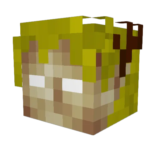 FumyGene Minecraft avatar head, 3D render