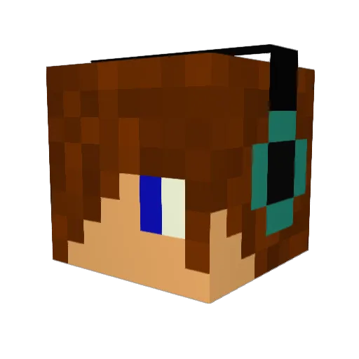Fun4L1f3 Minecraft avatar head, 3D render