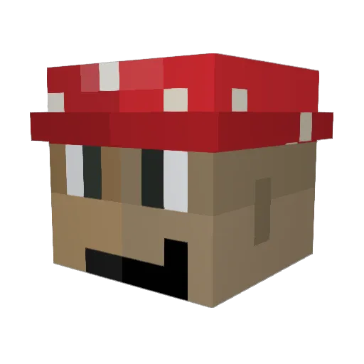FunAcc Minecraft avatar head, 3D render