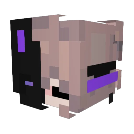 FunDino77 Minecraft avatar head, 3D render