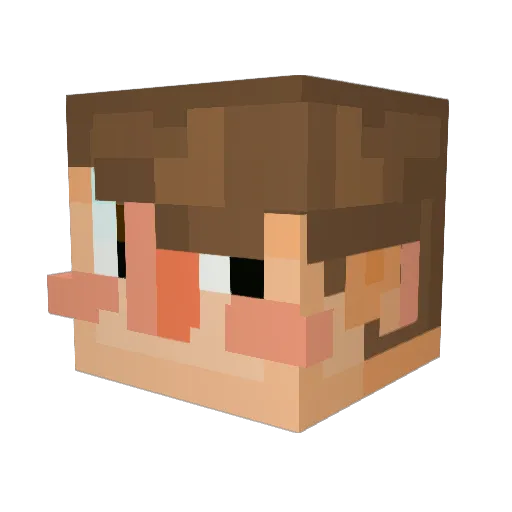 FunDip563 Minecraft avatar head, 3D render
