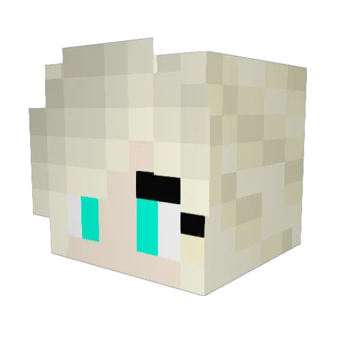 FunFizz Minecraft avatar head, 3D render
