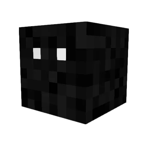 FunIsGood_ Minecraft avatar head, 3D render