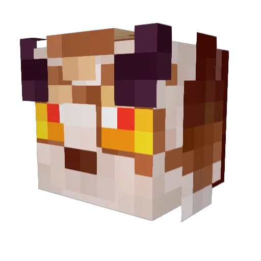 FunOnABun Minecraft avatar head, 3D render