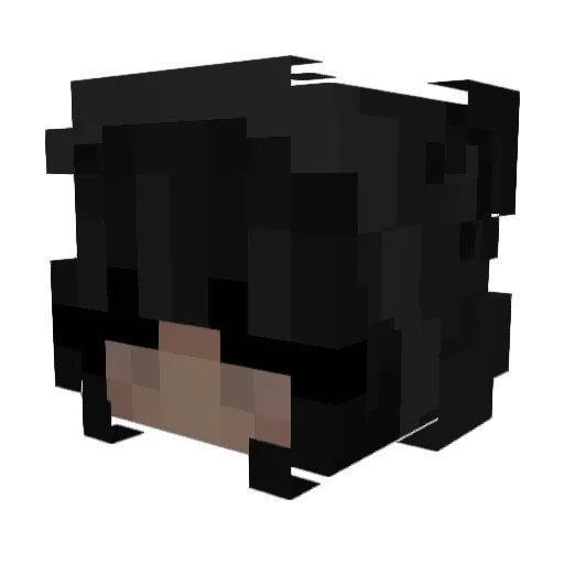 FunShamSS Minecraft avatar head, 3D render
