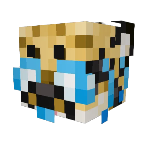 FunSizedDipStik Minecraft avatar head, 3D render