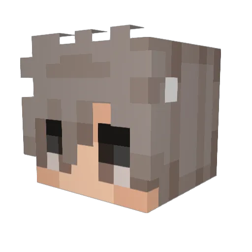Minecraft-Avatar von FunTimeViper: Kopf als 3D-Render