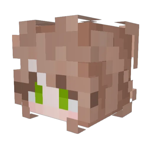 FunYunFei Minecraft avatar head, 3D render