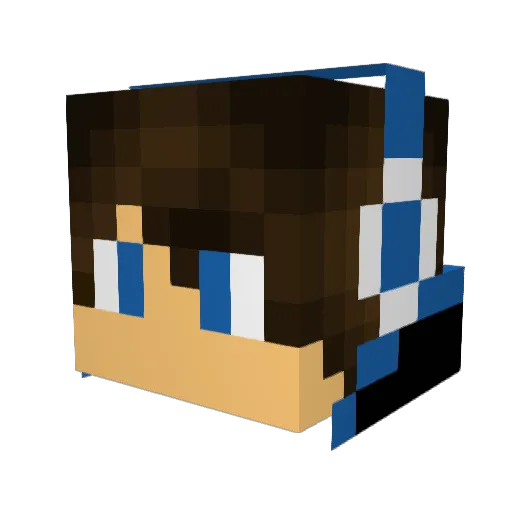Funboy102 Minecraft avatar head, 3D render