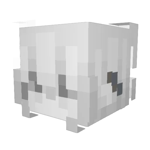 FuncNXTDoor Minecraft avatar head, 3D render