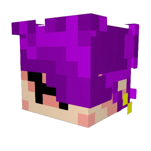 Funchers Minecraft avatar head, 3D render