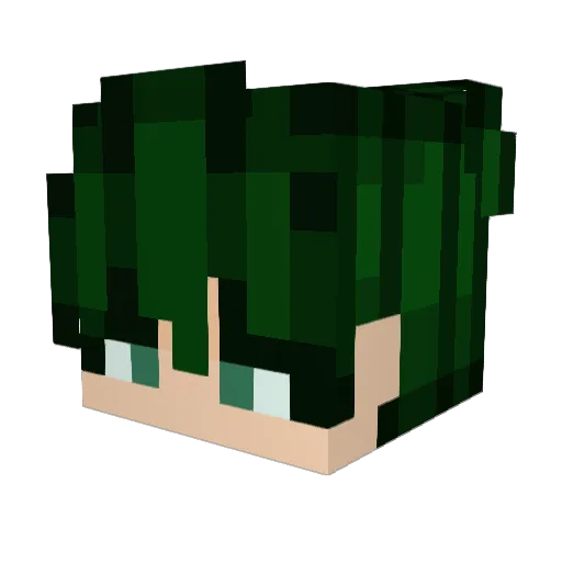 FunctionChen Minecraft avatar head, 3D render