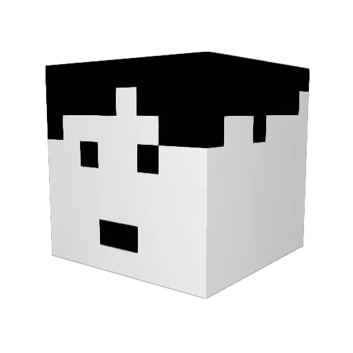 FunctionKey Minecraft avatar head, 3D render