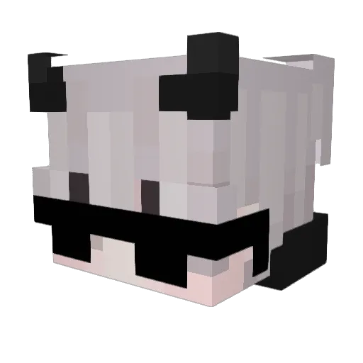 FunctionalAdam Minecraft avatar head, 3D render