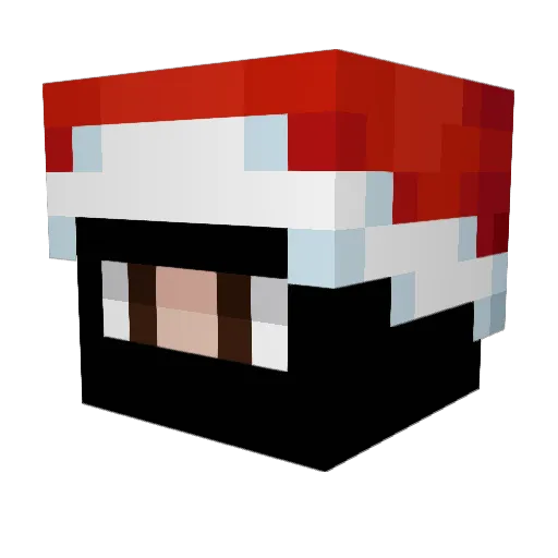 Fundaca0 Minecraft avatar head, 3D render