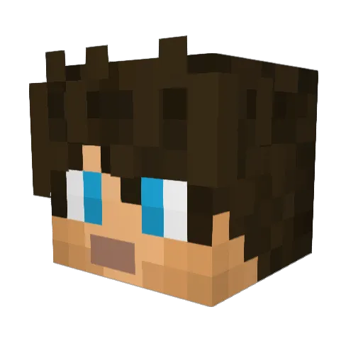 Fundalis Minecraft avatar head, 3D render